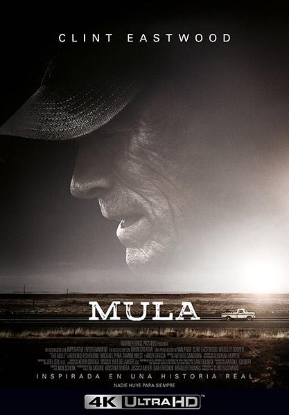 La mula